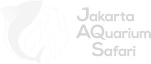 Startha Group Assets